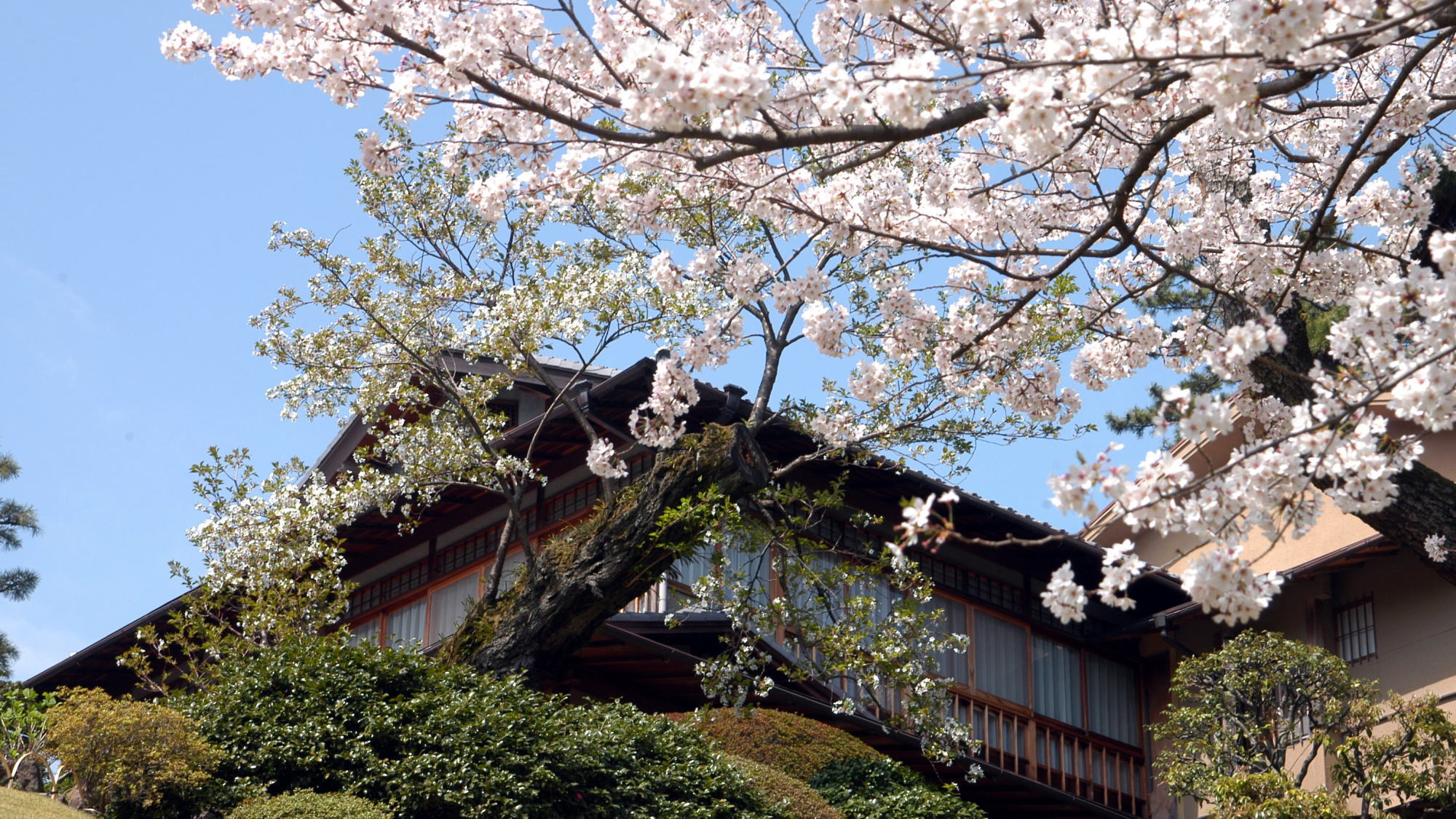 【庭園の風景】