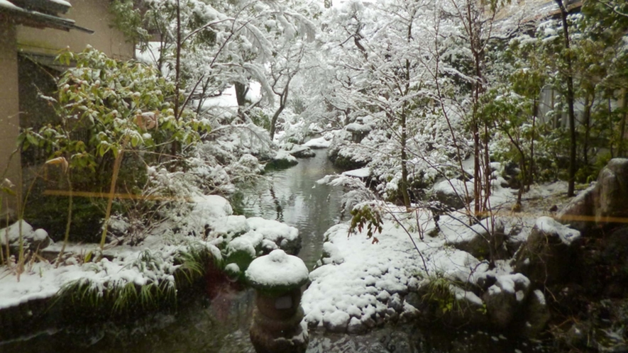 【庭園の風景】