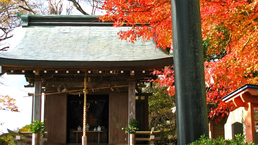【周辺観光】葛城神社の紅葉。