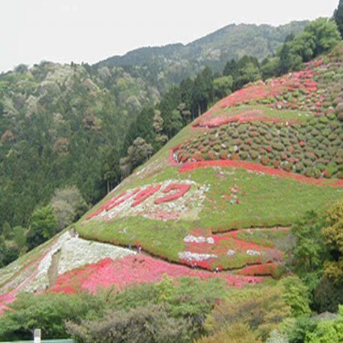 湯宿 みかんの木 - 写真 161