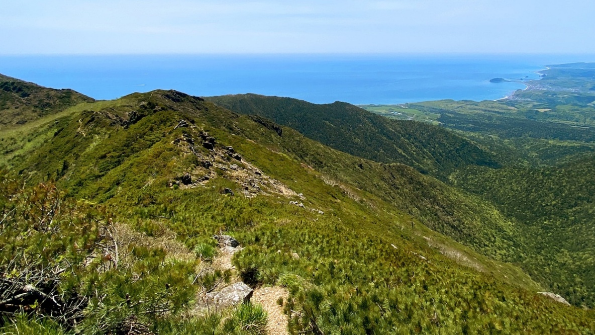 【春SALE】朝から元気に和朝食膳プラン！（朝食付）