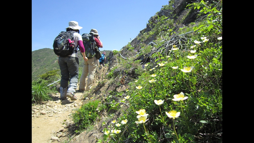 【アポイ岳　登山】