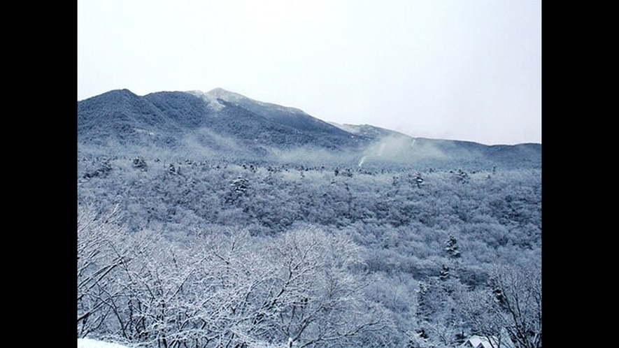 【アポイ岳　冬】