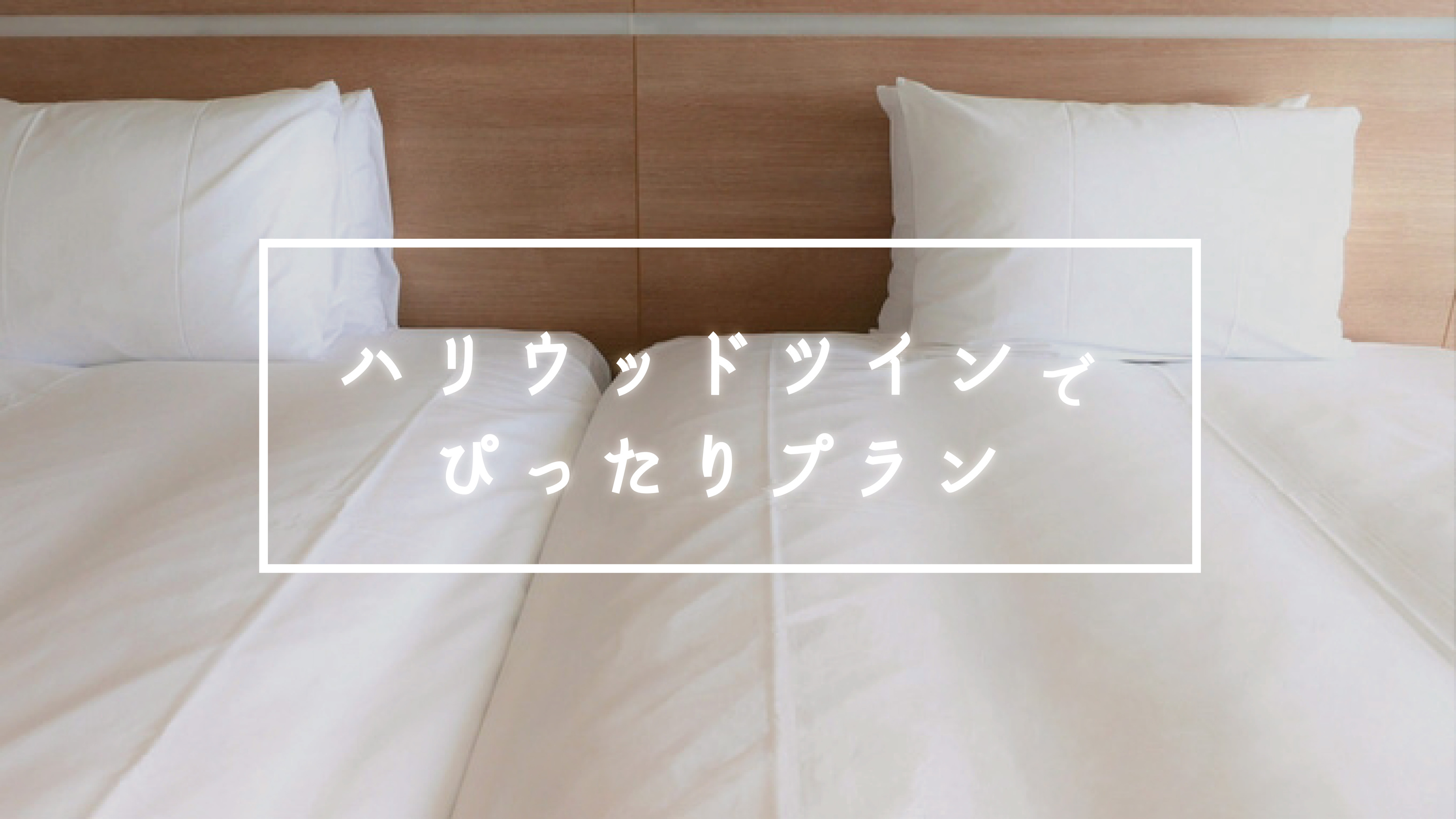 【楽天スーパーSALE】10％OFF【仲良しさん向け】ハリウッドツインプラン《釜めし朝食付き》