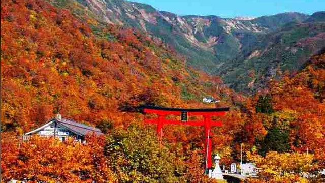 秋【３泊６日】庄内観光にピッタリ！　温泉のんびり連泊プラン