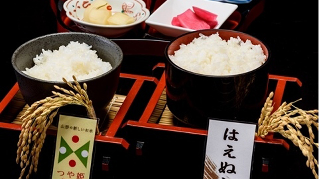 山形ブランド米「つや姫」と「はえぬき」の２種類夕食時食べ比べ　柿大根漬け　赤カブ漬けなどの羽黒の漬物