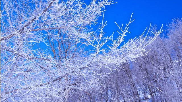 晴天の庄内は、空もきれいです