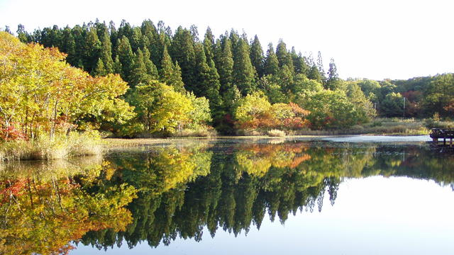 二夜の池 （休暇村自然の小径）周囲にはバリアフリー遊歩道も整備されています