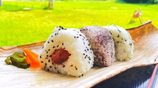 登山用昼食おにぎり「塩ごま梅」「しそ」「菜めし」の3種
