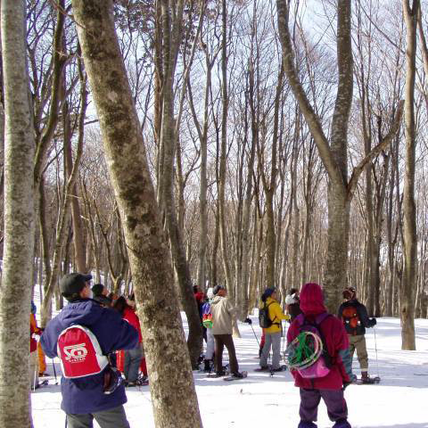 スノーシューツアーへの参加もおすすめです。1月2月の火・木曜日開催