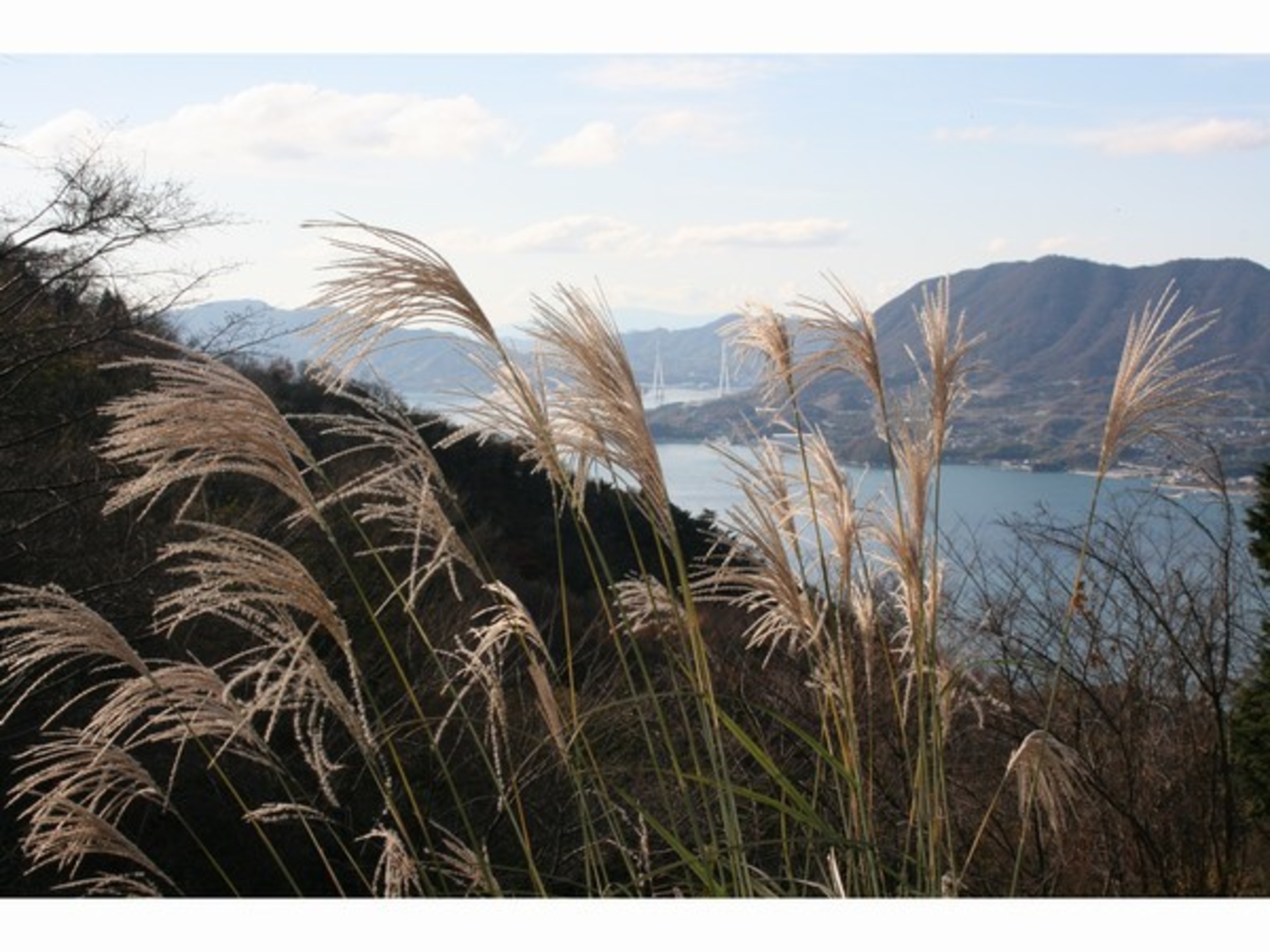 活魚 民宿 よし正 宿泊予約 楽天トラベル