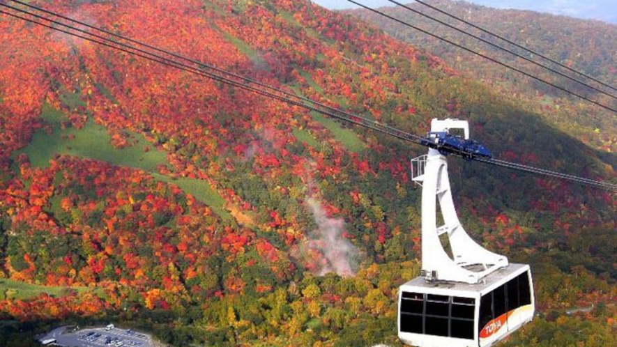 【観光施設】　初夏から秋まで、新緑に始まり、紅葉も楽しめる那須ロープウェイ