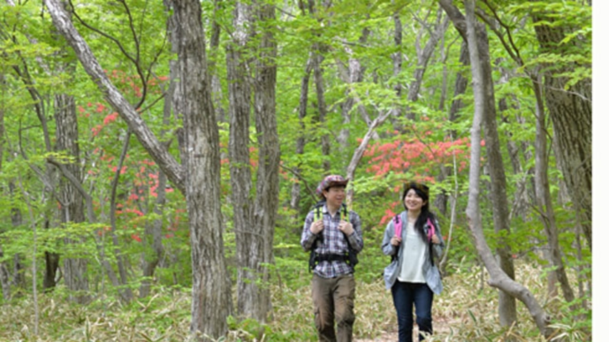 【散策】　那須平成の森や吊り橋など周辺を散策