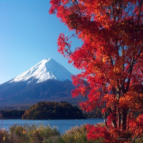 紅葉に包まれた富士