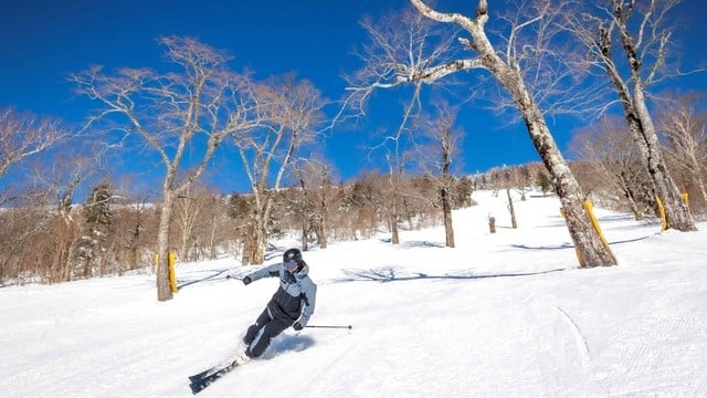【グランデコスノーリゾート】１泊２食＋リフト１日券付スキーパック12/27〜2/28はスキー場送迎付