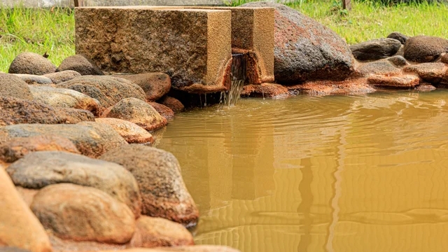 〈２泊4食　湯治プラン〉会津旬彩ビュッフェ