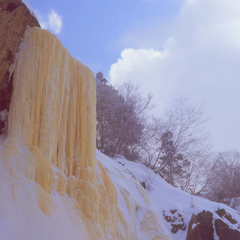 冬のお楽しみ イエローフォール