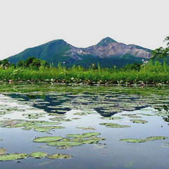 ジュンサイ沼と磐梯山