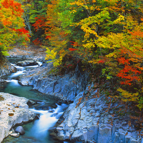 中津川渓谷の紅葉