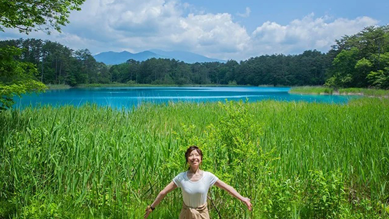 草の緑と湖の青がまぶしいくらいの五色沼