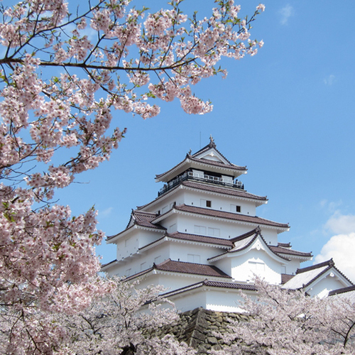 春の鶴ヶ城はお城と桜が一緒に撮影できる春の代表的スポット