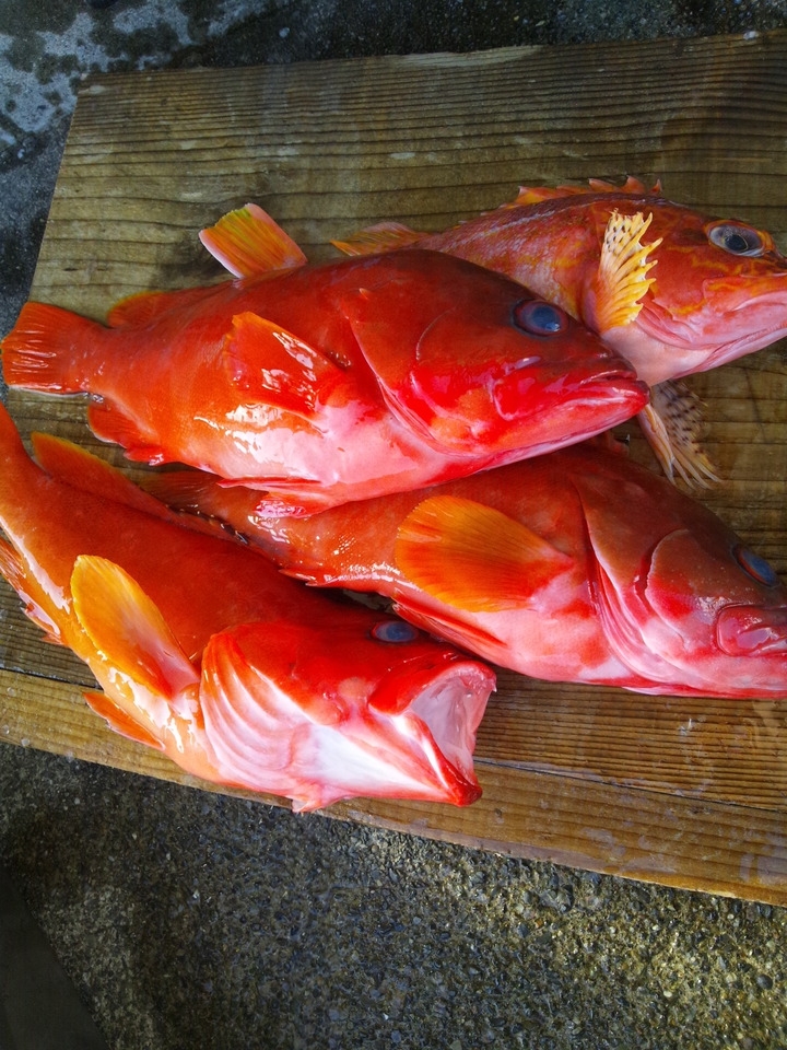 【釣り人応援】海まで徒歩5分！早朝出発OK♪朝食は手作り弁当をご用意＜2食付＞