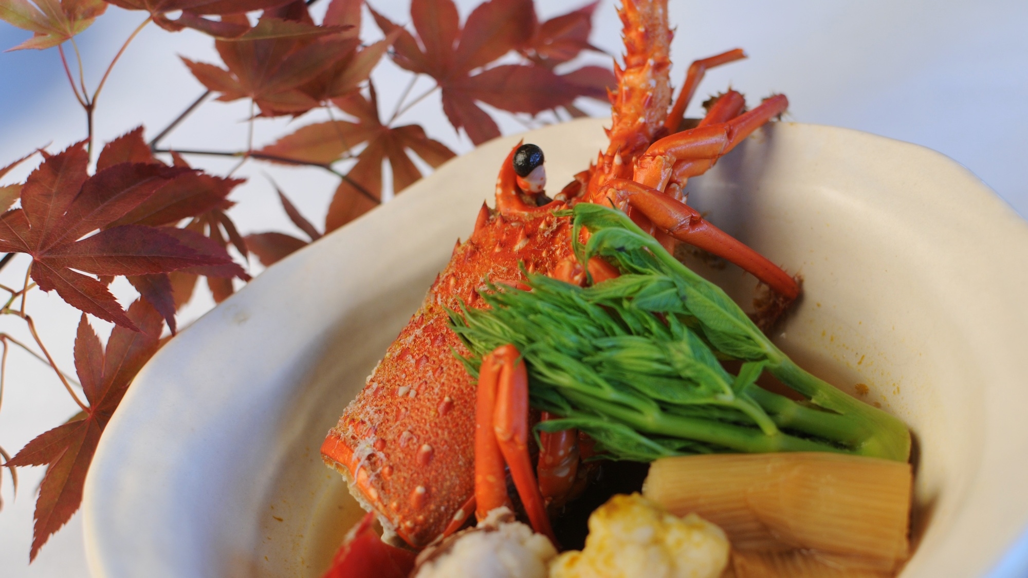 【天然本クエ×伊勢海老】和歌山の至福の味覚を堪能！冬季限定の贅沢海鮮会席＜2食付＞