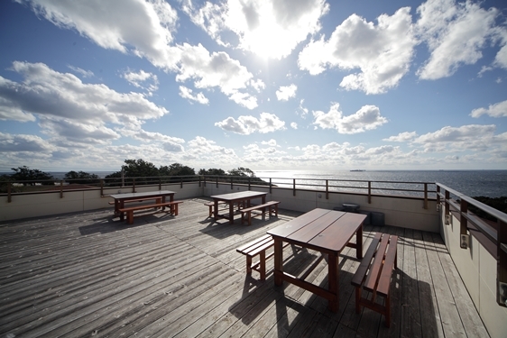 从西田 Misaki Lodge 看到的风景