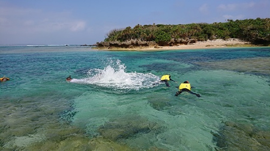 備瀬の海 船釣り ボートスノーケリング お楽しみの宿 備瀬 自然ビーチ 楽天トラベル