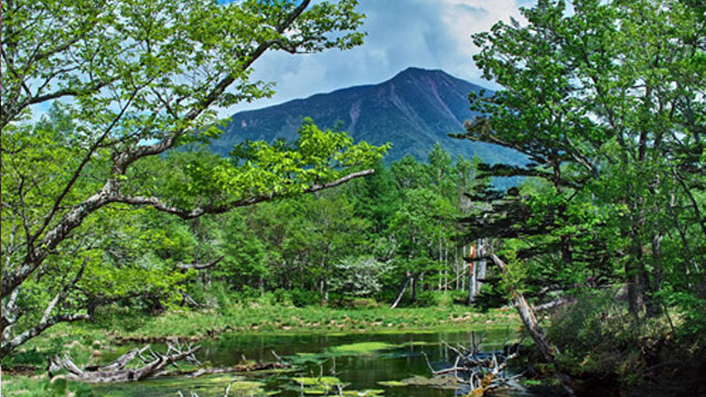 新緑の男体山・湯川