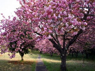 静峰ふるさと公園