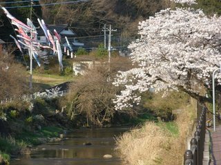 鯉のぼり