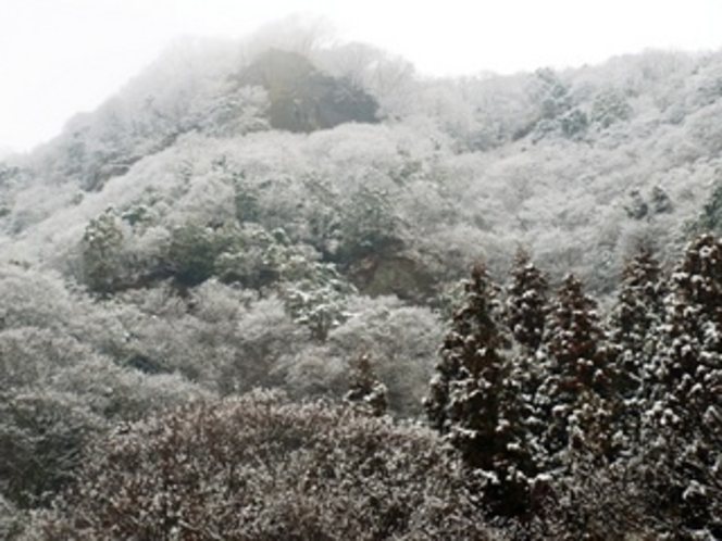 雪の生瀬富士