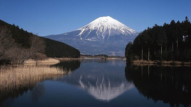 【コテージ】富士山恵みのビュッフェプラン Cottage Winter Fuji Buffet