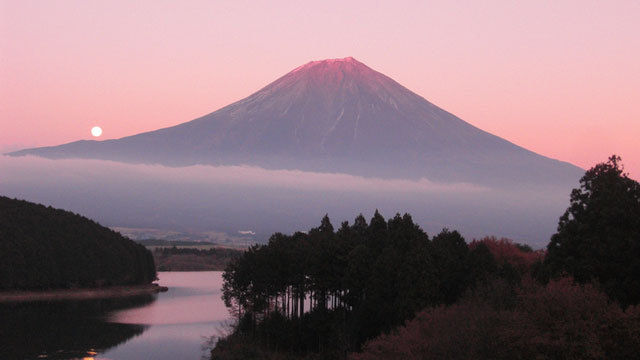 【コテージ】富士山恵みのビュッフェプラン Cottage Autumn Fuji Buffet