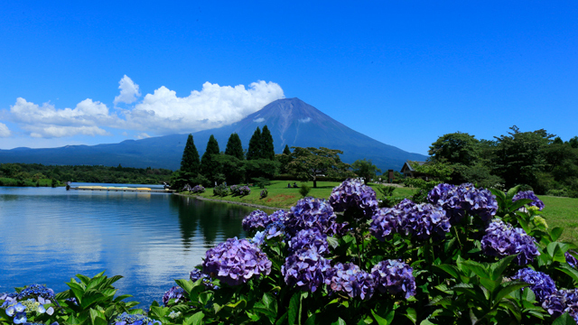 【コテージ】富士山恵みのビュッフェプラン Cottage Summer Fuji Buffet