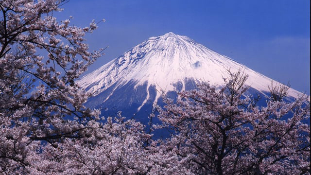 春の富士山恵みのビュッフェ　Spring Fuji Blessing Buffet