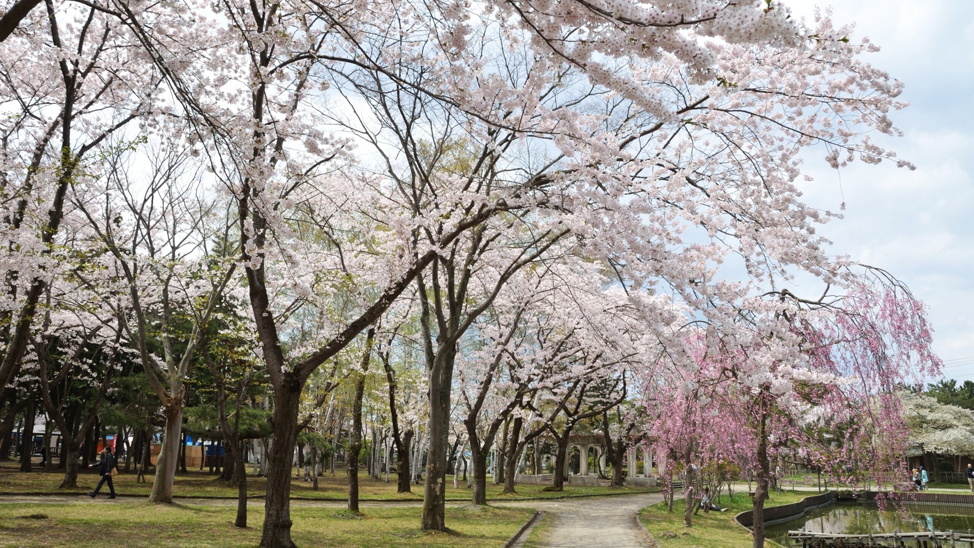 【春のイベント】合浦公園