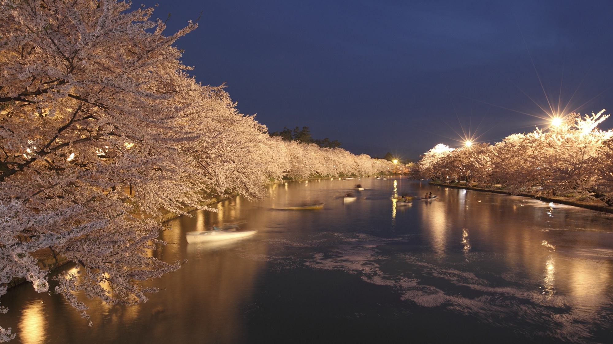 【春のイベント】〈桜〉弘前さくらまつり