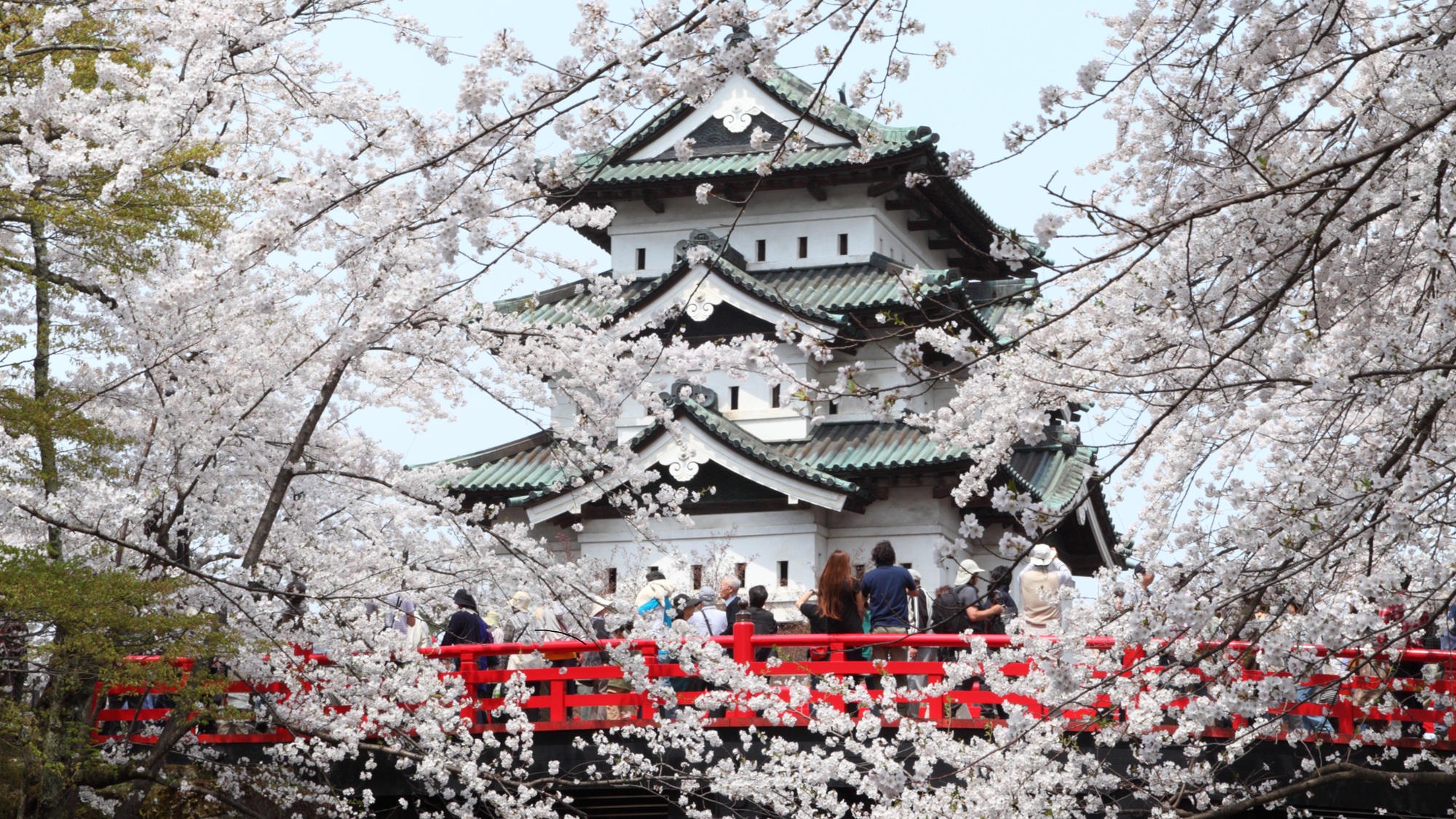 【春のイベント】〈桜〉弘前さくらまつり