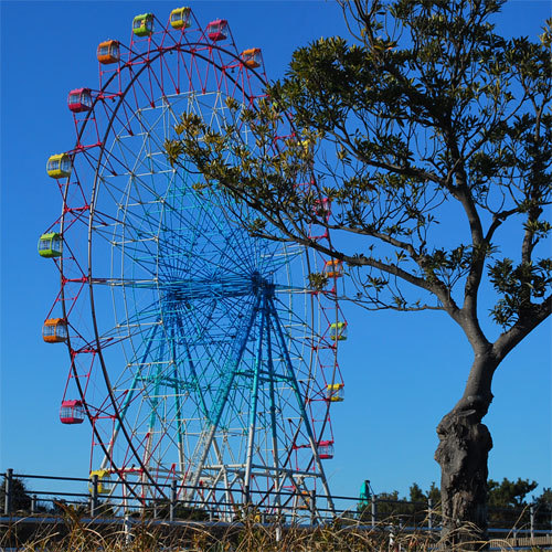 写真5