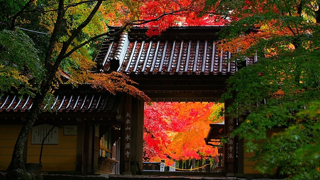 休暇村 近江八幡 日帰り デイユースプラン一覧 楽天トラベル