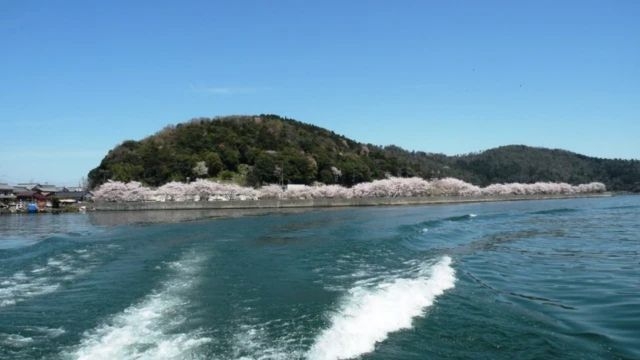 日帰り体験＆昼食＆温泉　お花見クルージングと沖島さんぽ（お花見弁当付）【10：00休暇村出発便】