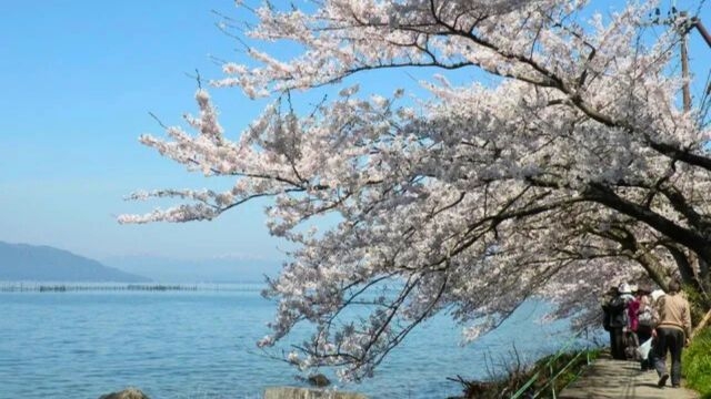 日帰り体験＆昼食＆温泉　お花見クルージングと沖島さんぽ（お花見弁当付）【10：00休暇村出発便】