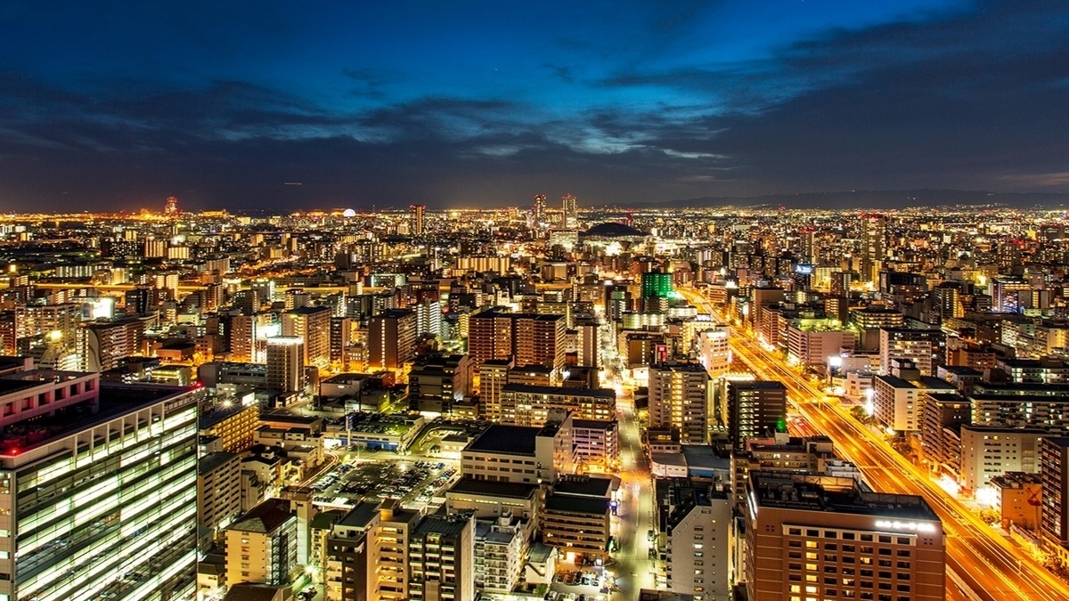 客室からの眺め