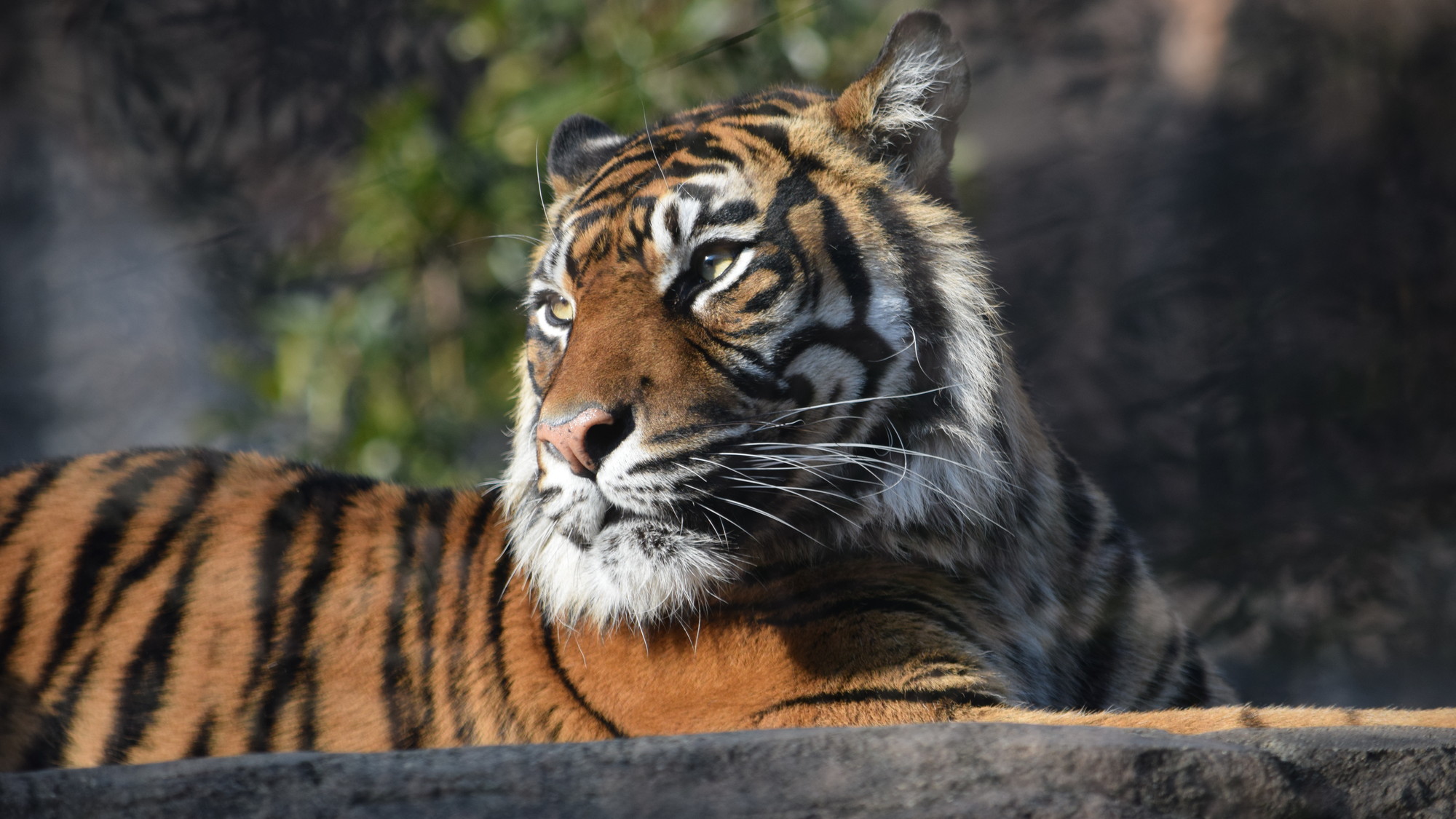 宮城県仙台市　八木山動物園