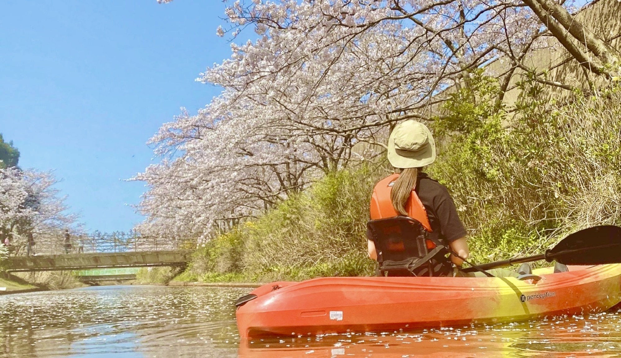 湖上から片山津温泉の自然を満喫　