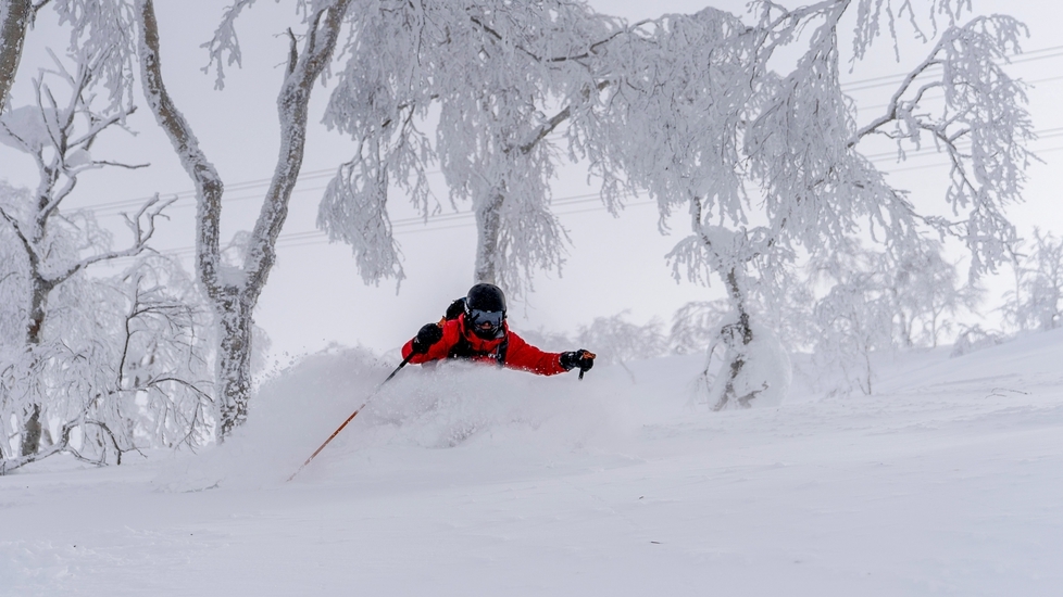 【当館一番人気/2食付】関温泉のパウダースノーを楽しんだ後は、新潟の味覚と源泉かけ流し温泉！＜冬＞