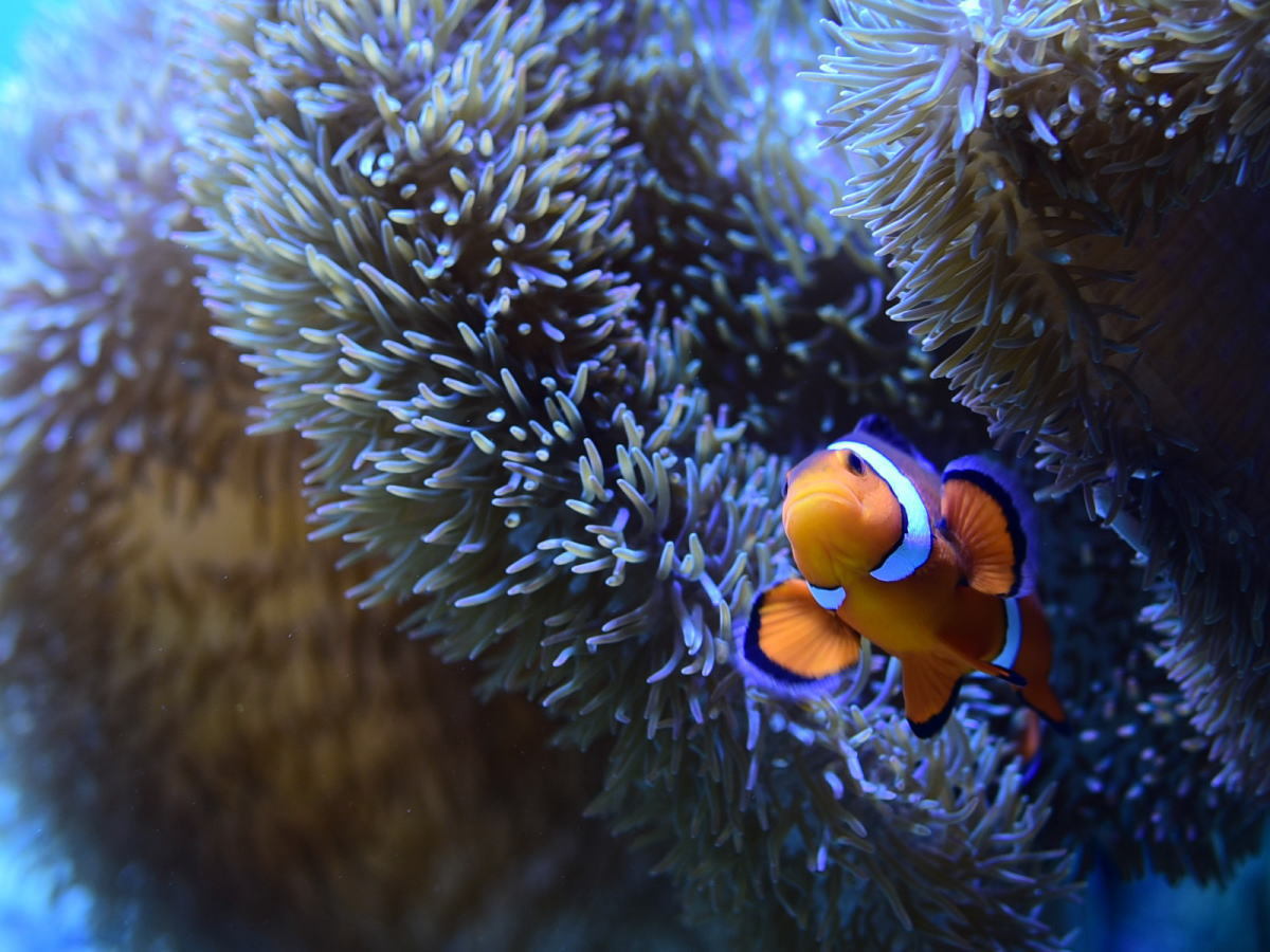 水族館