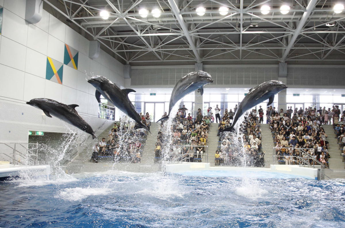 水族館